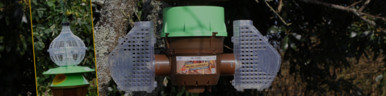 Lire la suite à propos de l’article Pièges à frelons asiatiques : bien les choisir!